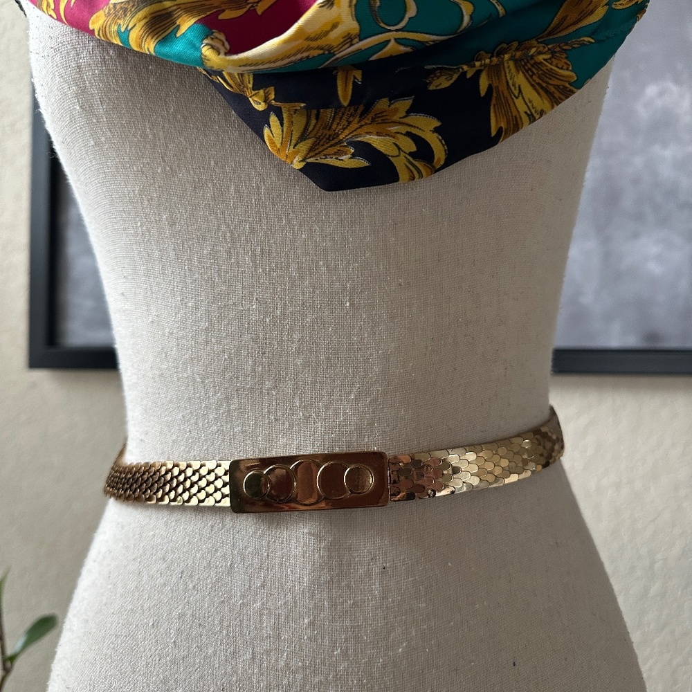 Vintage Slim Gold Metal Elastic Belt Fish Scales